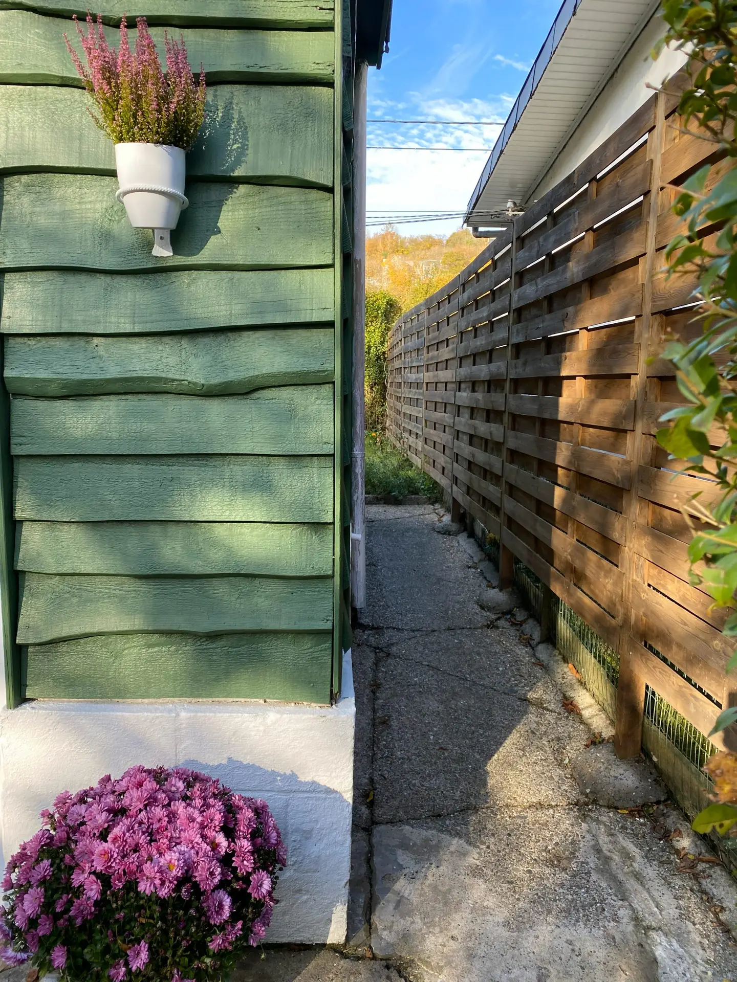Bardage vert du tram, fleurs